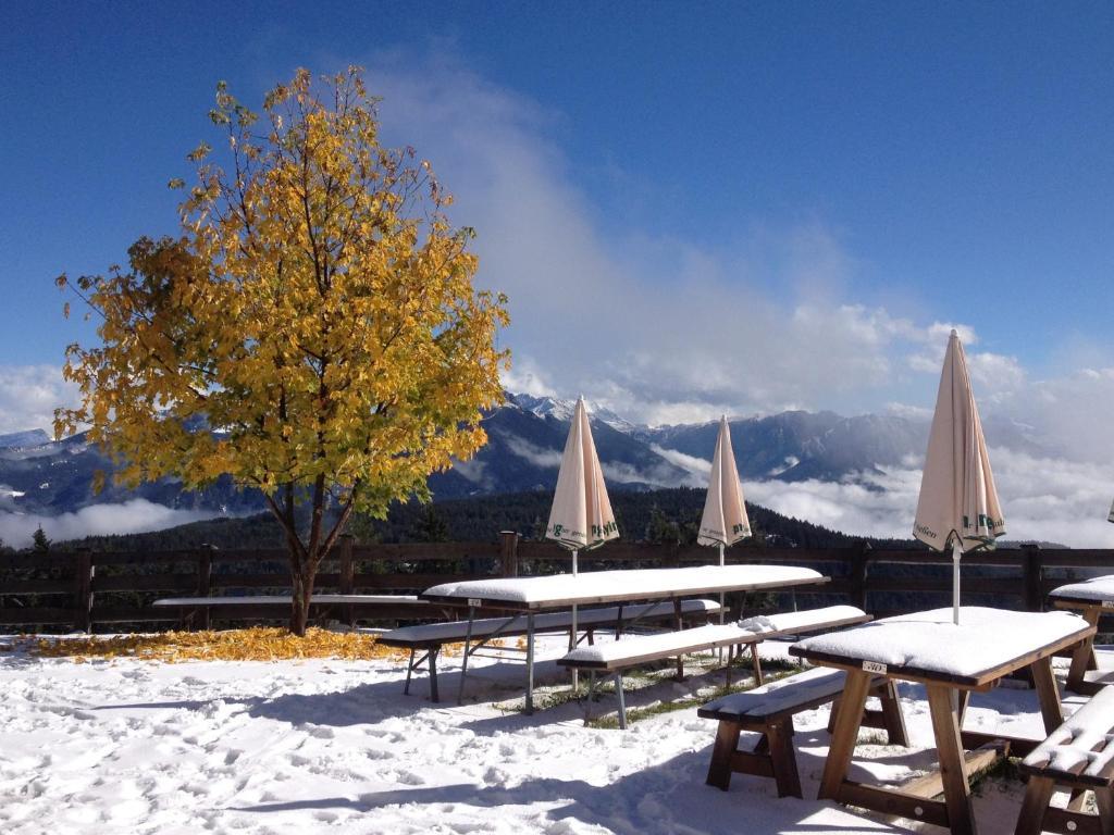 Zur Muehle Wohlfuehloase Hotel โตรเดนา ภายนอก รูปภาพ